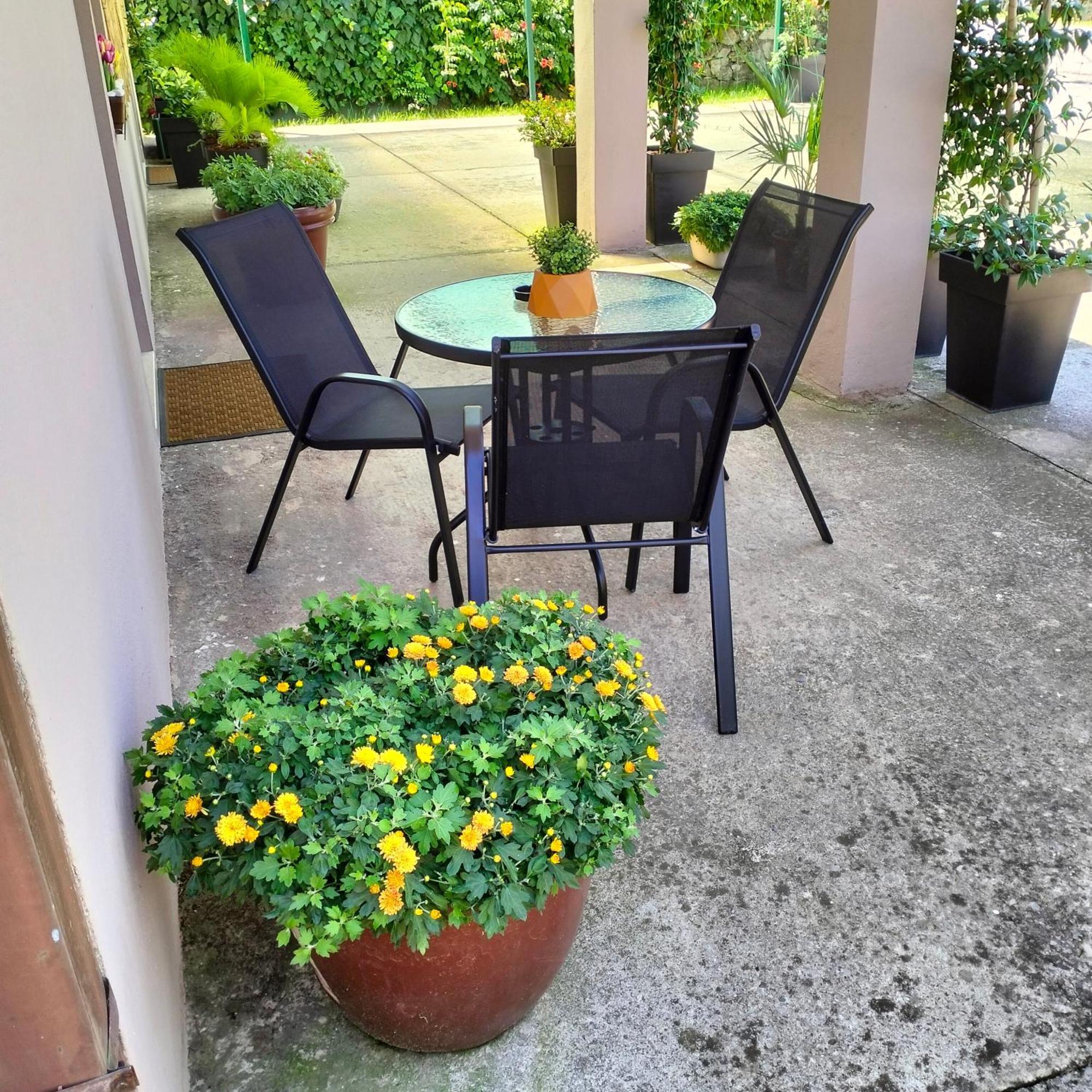 Olive Apartment Podgorica Exterior photo